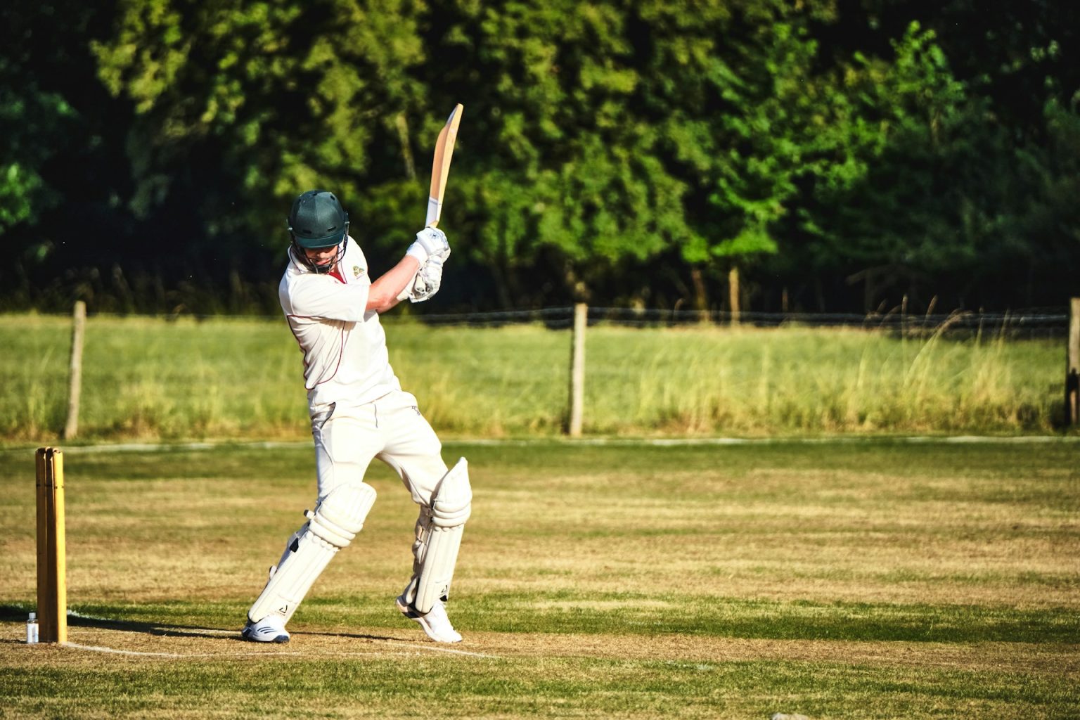 Fantasy Cricket Winning Formula: Build Smarter Teams and Rank Higher